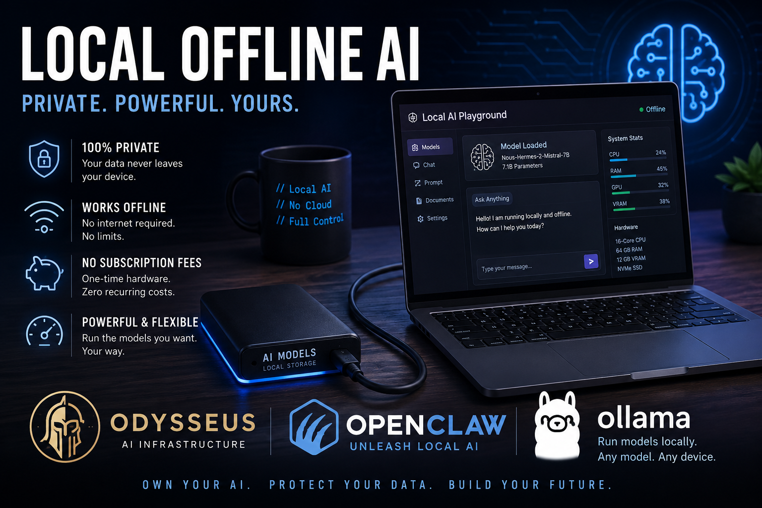 Local offline AI: running models on your own hardware